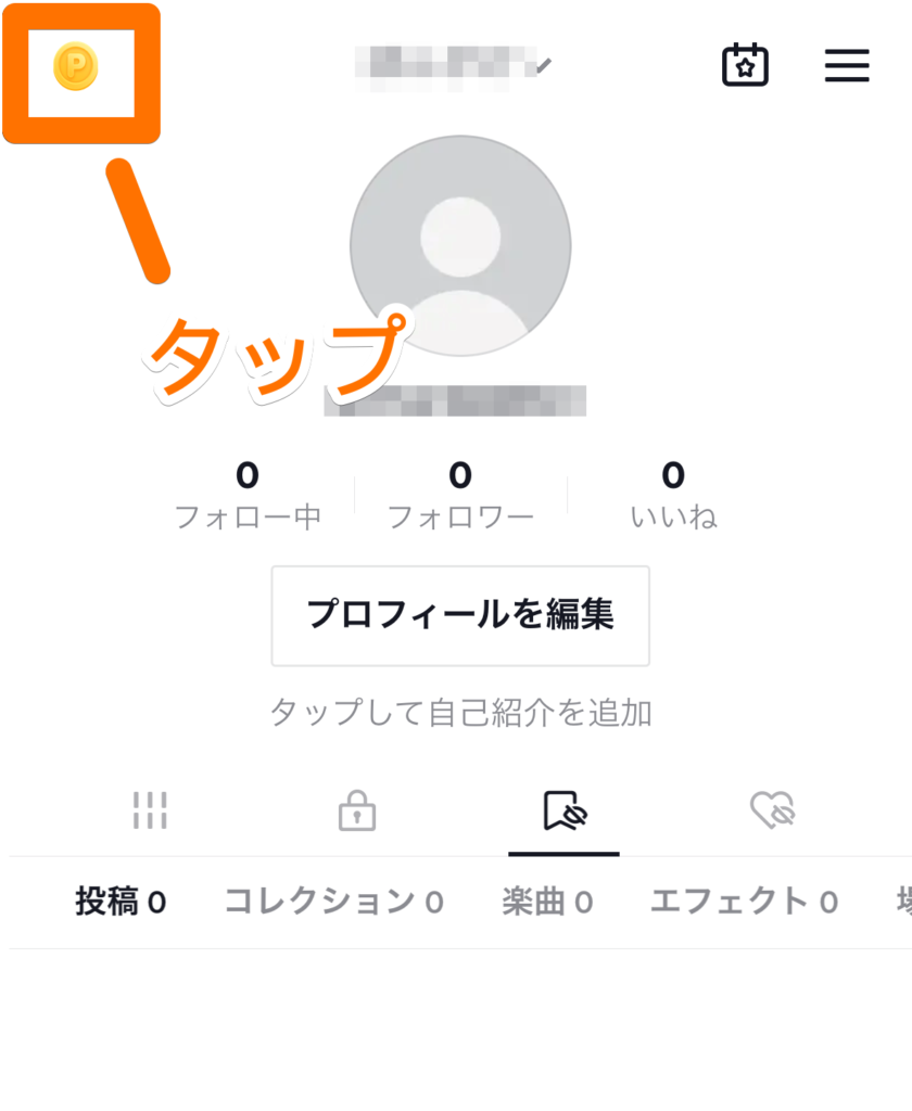 プロフィール画面でコインを選択するキャプチャ画像