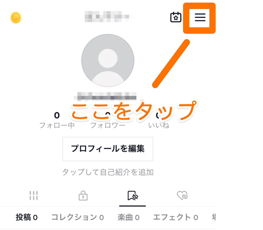 プロフィール画面でコインを選択するキャプチャ画像
